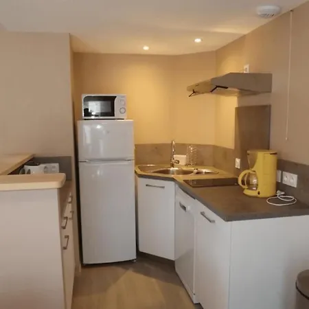 12 Au Puy Mary Confortable Pour Familles Et Amis Le Claux